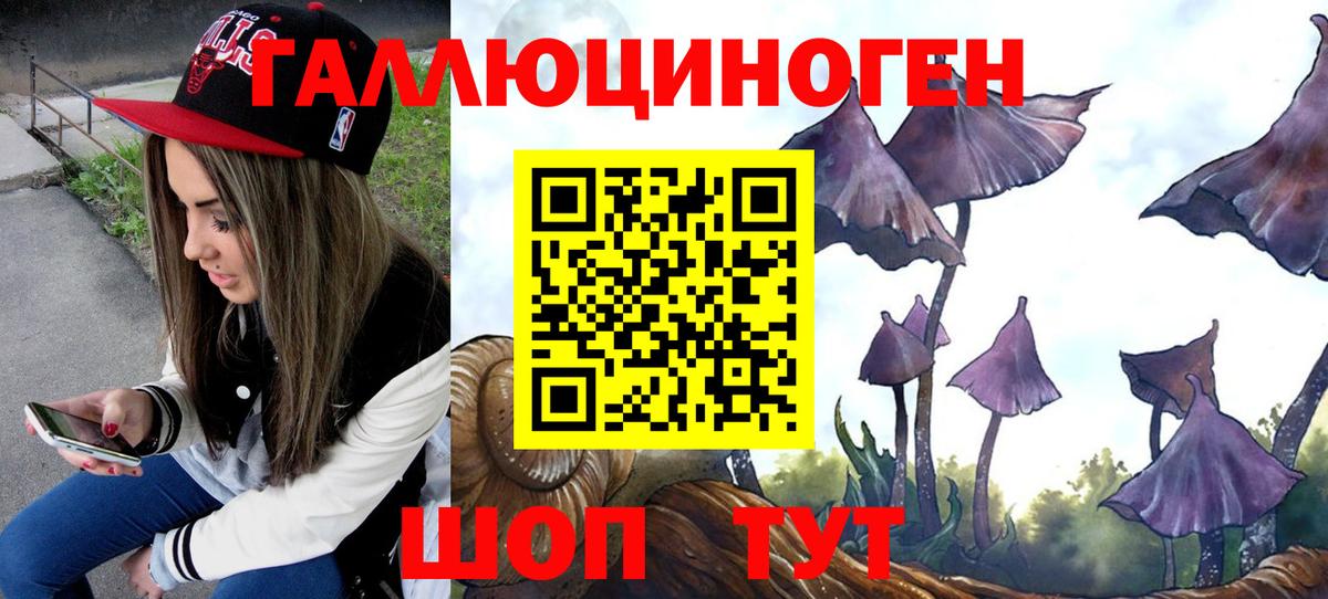 Галлюциногенные грибы Cubensis Вичуга