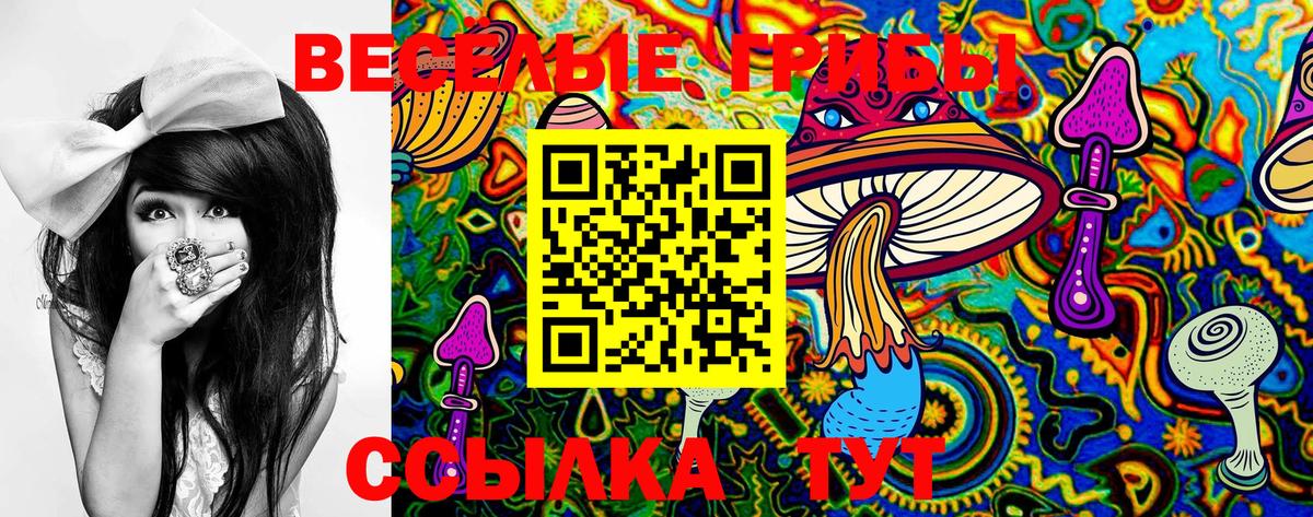 Вичуга  Псилоцибиновые грибы Psilocybe  Вход с VPN 